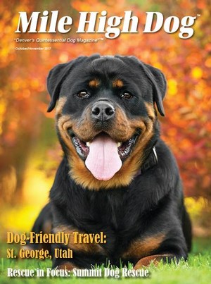 Mile High Dog Magazine Cover