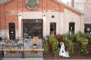 bride and groom in vineyard