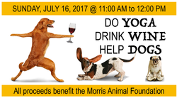 Yoga+Wine+Dogs